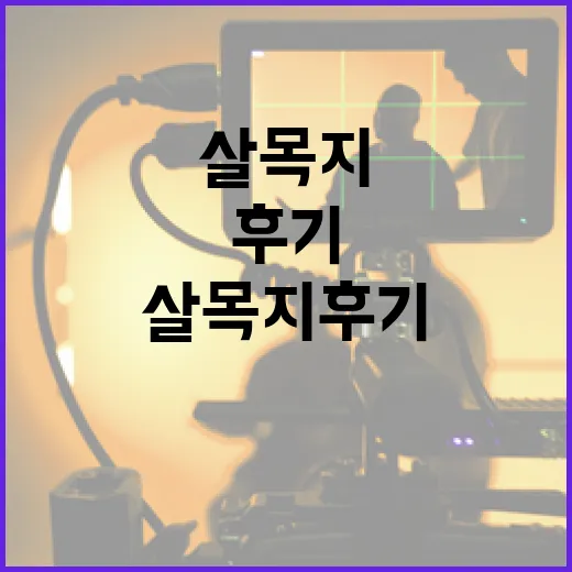 살목지 후기를 통해 알아보는 효과적인 사용 방법 - 요약