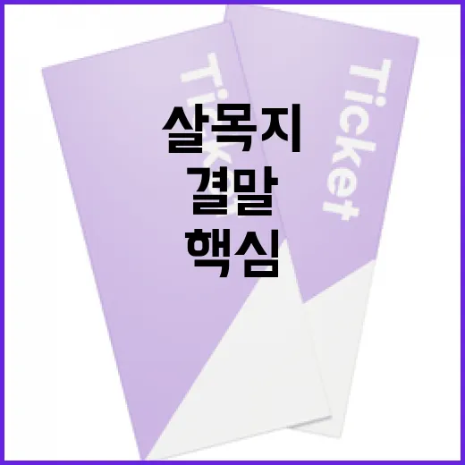 살목지 결말을 이해하는 방법: 스토리의 핵심과 메시지 - 요약