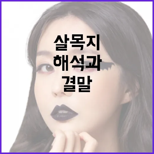 살목지 결말을 이해하는 방법: 깊이 있는 해석과 분석 - 요약