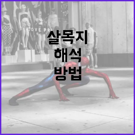 살목지를 효과적으로 해석하는 방법 - 요약