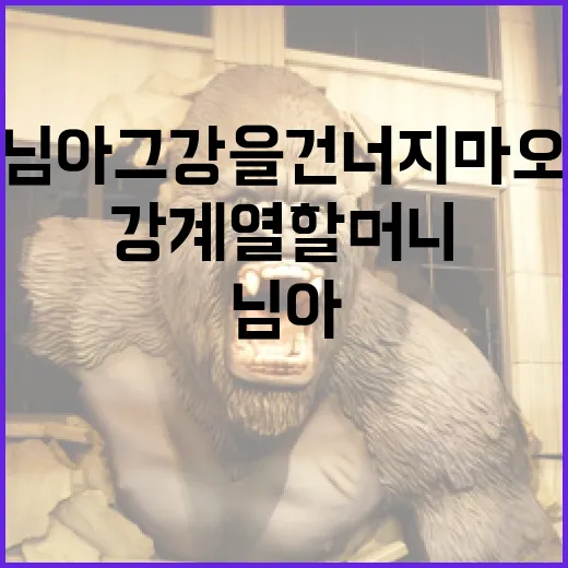 ‘님아 그 강을 건너지 마오’의 강계열 할머니를 기리며: 그녀의 삶과 작품 이해하기 - 요약