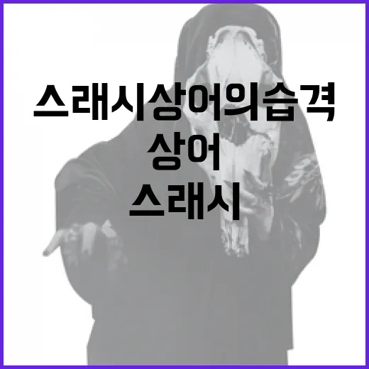 스래시 상어의 습격을 피하는 방법 - 요약