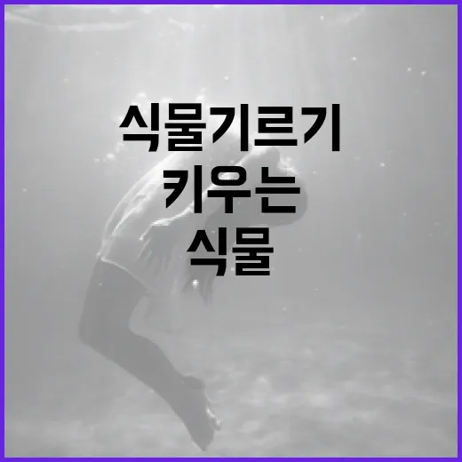 살목지 식물 기르기: 건강하게 키우는 방법 - 요약