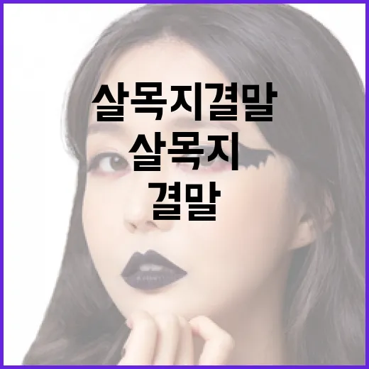 살목지 결말을 이해하는 방법 - 요약