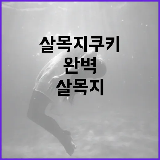 살목지 쿠키를 완벽하게 만드는 방법 - 요약