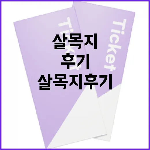 살목지 후기를 통해 본 매력과 사용법 - 요약