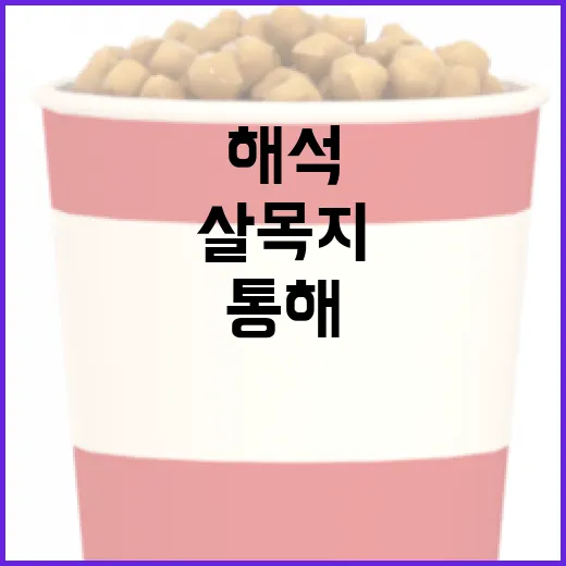 살목지 해석을 통해 삶의 지혜를 얻는 방법 - 요약