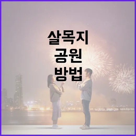 살목지를 관리하여 건강한 공원을 조성하는 방법 - 요약