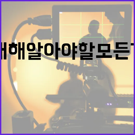 바타 전여친에 대해 알아야 할 모든 것 - 요약