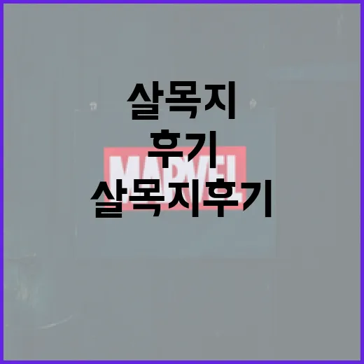 살목지 후기: 효과적으로 사용하는 방법과 경험 공유 - 요약