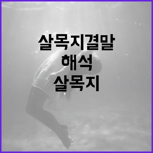 살목지 결말을 해석하는 방법 - 요약