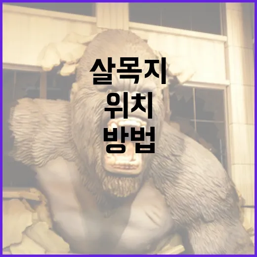 살목지 위치를 찾는 방법 - 요약