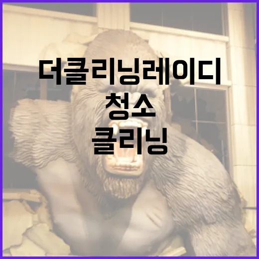 더 클리닝 레이디를 활용하여 집 청소를 효율적으로 하는 방법 - 요약
