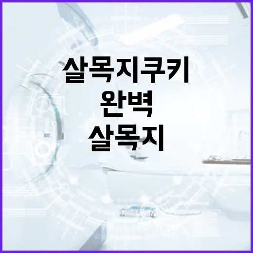 살목지 쿠키를 완벽하게 만드는 방법 - 요약