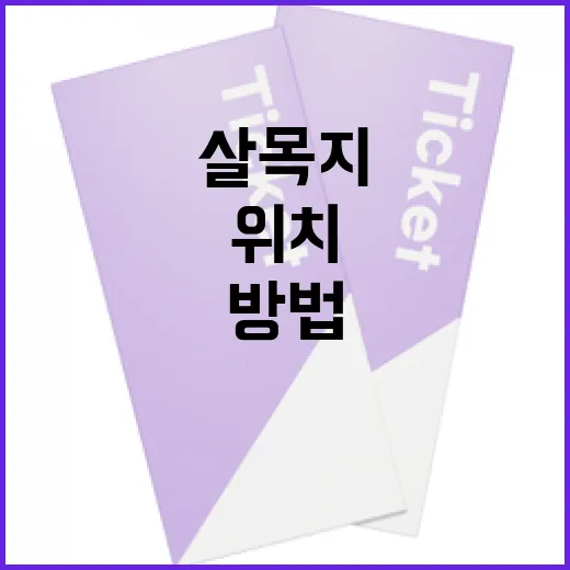 살목지 위치를 정확히 찾는 방법 - 요약