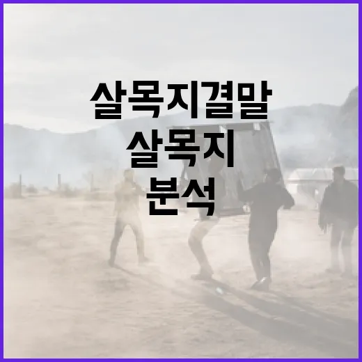 살목지 결말을 이해하는 방법: 이야기의 심층 분석 - 요약