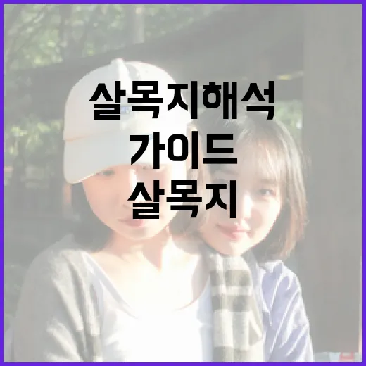 살목지 해석하는 방법: 초보자를 위한 가이드 - 요약