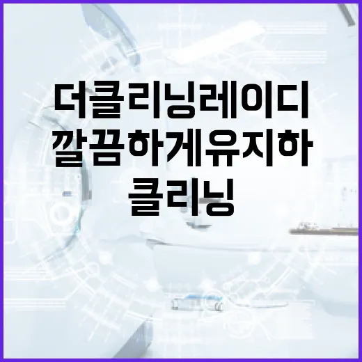 더 클리닝 레이디로 집을 깔끔하게 유지하는 방법 - 요약