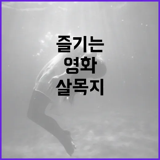 살목지 영화를 제대로 즐기는 방법 - 요약