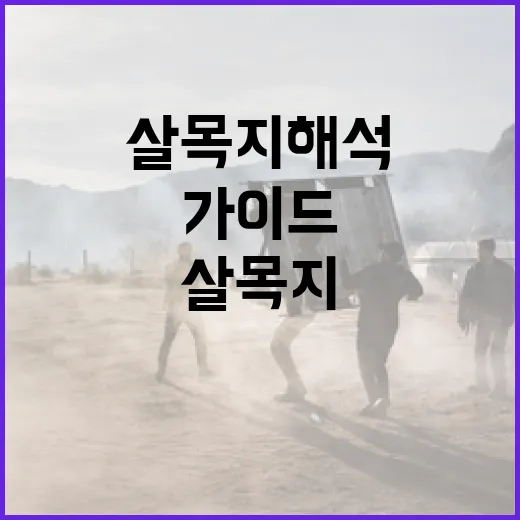 살목지 해석하는 방법: 초보자를 위한 가이드 - 요약