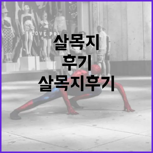 살목지 후기를 통해 알아보는 효과적인 활용 방법 - 요약