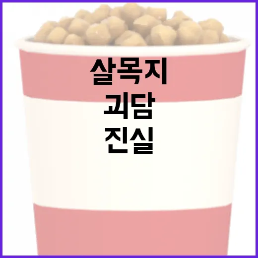 살목지 괴담의 진실을 파헤치는 방법 - 요약