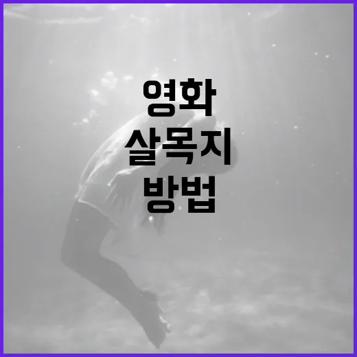 살목지 영화를 제대로 이해하는 방법 - 요약