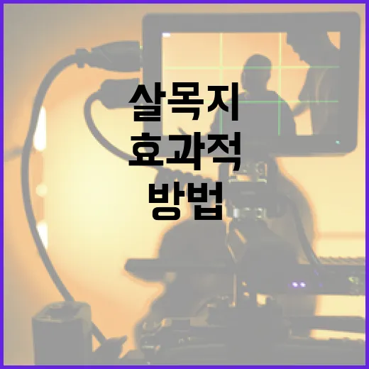 살목지를 효과적으로 사용하는 방법 - 요약
