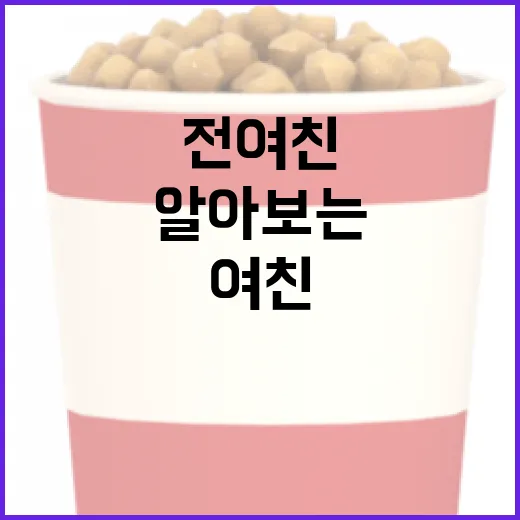 바타 전여친에 대해 알아보는 방법 - 요약