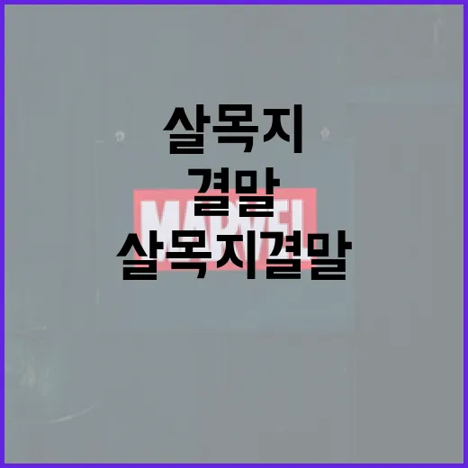 살목지 결말 이해하는 방법: 인물과 주제를 중심으로 - 요약