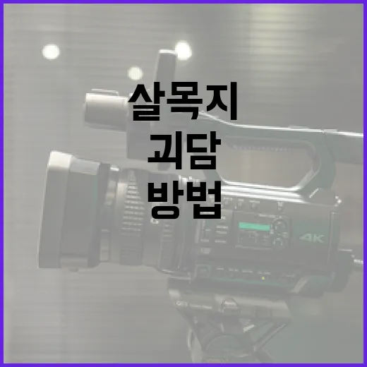 살목지 괴담을 이해하고 안전하게 대처하는 방법 - 요약