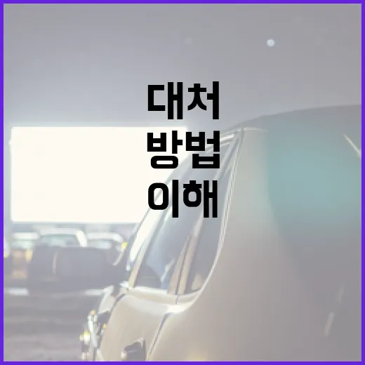 ‘니 부모 얼굴이 보고싶다’라는 표현을 이해하고 적절하게 대처하는 방법 - 요약