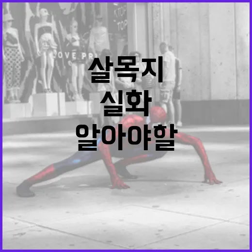 살목지 실화에 대해 알아야 할 모든 것 - 요약