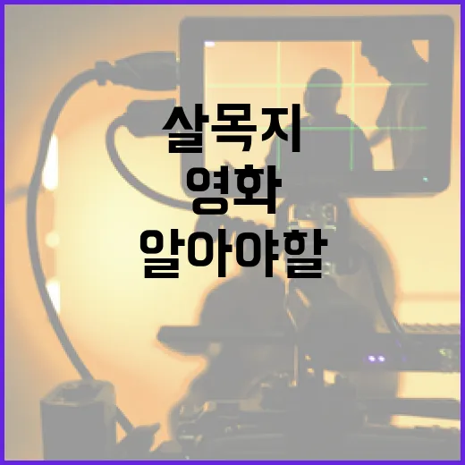 영화 살목지에 대해 알아야 할 모든 것 - 요약