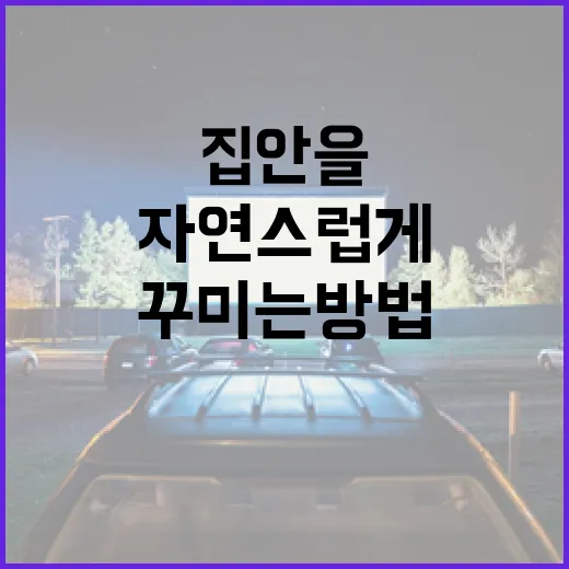 살목지를 활용하여 자연스럽게 집안을 꾸미는 방법 - 요약