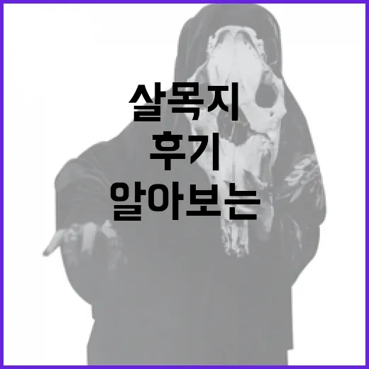 살목지 후기를 통해 알아보는 자연과의 조화로운 생활 방법 - 요약