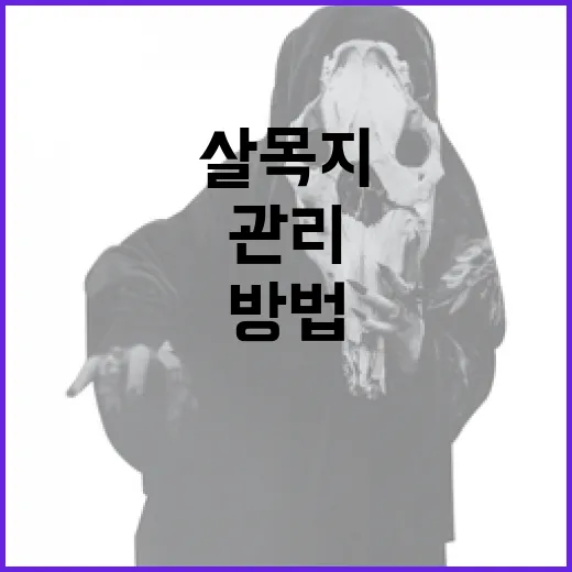 살목지를 효과적으로 관리하는 방법 - 요약