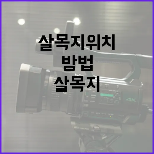 살목지 위치 찾는 방법과 팁 - 요약