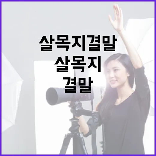 살목지 결말을 이해하는 방법 - 요약