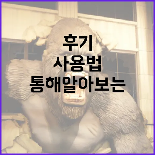 살목지 후기를 통해 알아보는 효과적인 사용법 - 요약