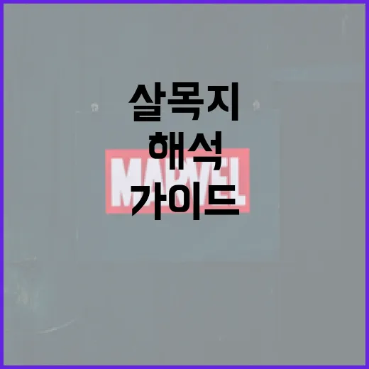 살목지를 해석하는 방법: 초보자를 위한 가이드 - 요약