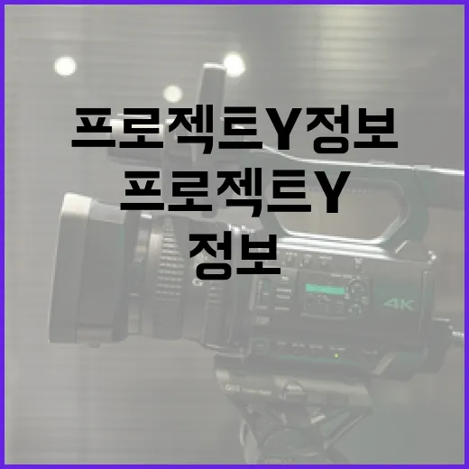 프로젝트 Y 정보를 이해하는 방법 - 요약