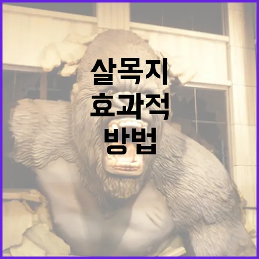 살목지를 효과적으로 사용하는 방법 - 요약