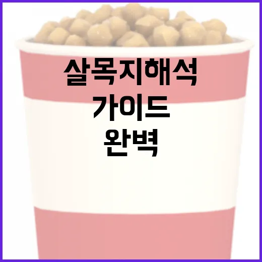 살목지 해석을 위한 완벽한 가이드 - 요약