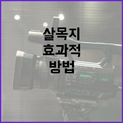 살목지를 효과적으로 사용하는 방법과 후기 - 요약