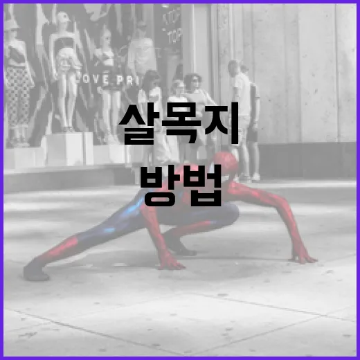 살목지를 제대로 관리하는 방법 - 요약