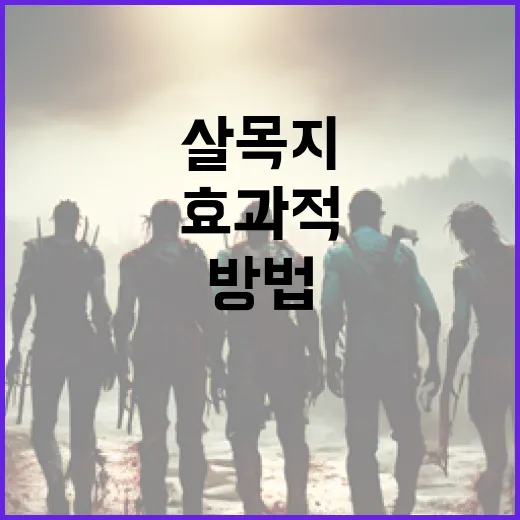 살목지를 효과적으로 사용하는 방법 - 요약