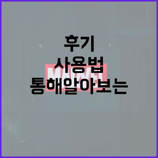 살목지 후기를 통해 알아보는 효과적인 사용법 - 요약