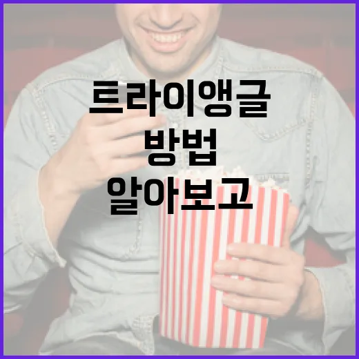 트라이앵글의 매력을 알아보고 활용하는 방법 - 요약