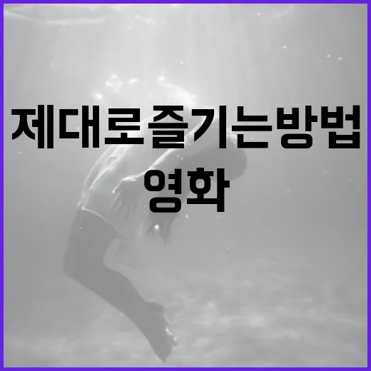 램 영화를 제대로 즐기는 방법 - 요약